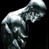 wzn_davi