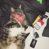 marzkeytv