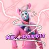 mr._.rabbit