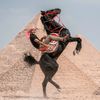 egyptourguidephotography