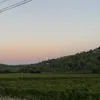 myamoutt