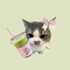liuzcutephomaigueee1_1