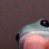 sloan_babey