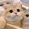 uwiihhhh__