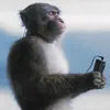 .nova20