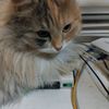 user3unm24pl1i