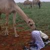 adenabdullahi7