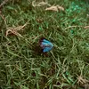 camphuong_1991