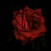 zemheri_zalim27