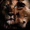 ahmad78080