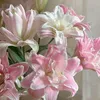 trong_duong_07