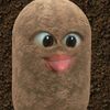 faahaja