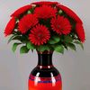 aslamqureshi167