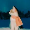 kreideprinz_kappa