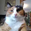 annathestupidpotato