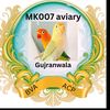 mk_aviary007