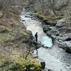 teodor._0
