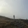 adam.ryalls