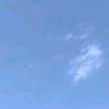 questioncgd____