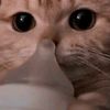 kitty1123kk
