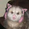 venomous_bitch_