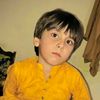 gujjarbahdr4843024