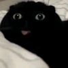 pickyassusernamethimg