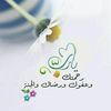 noooor874