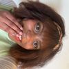 viv_wilks