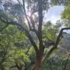santiagogt17