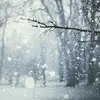 vsco.winterx