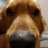 zkkjjuyd