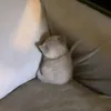 bubblebiessmw