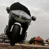 pandiadurai