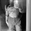 _poollaaa_