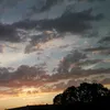 nat_1912_