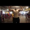 willswole242
