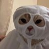 rawhinab