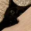 sleepyyowl
