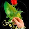 257247252mohaned