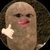 bimo.com2