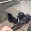buster.and.slim