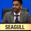 bobby_seagull