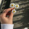 ray.yan96