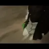 zentv__