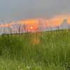 k_d0183