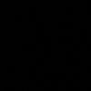 berysis