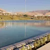 nihadmkurdi