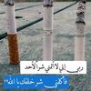 ahmadaltlawi38