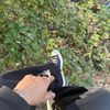 swagmaster1951